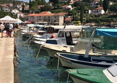 a group of boats docked at a marina